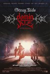 Stray Kids: The dominATE Experience poster